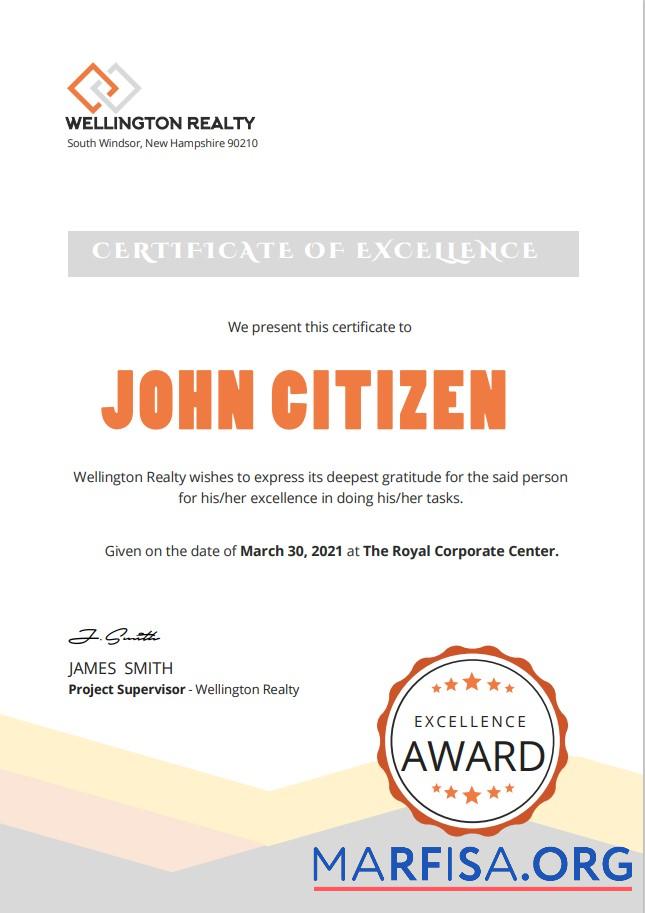 Printable USA Excellence cert Version 2 sample
